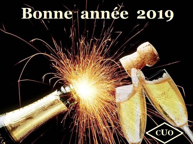 LES AGENCES D ACHAT OR GAP ET DIJON VOUS SOUHAITENT UNE EXCELLENTE ANNEE 2019